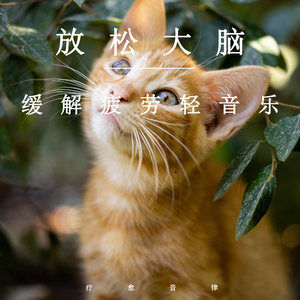 Chⅰnα老太交8Oyehe
